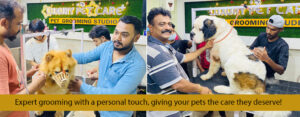 pet grooming kayamkulam