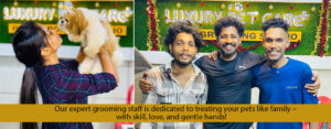 pet grooming kayamkulam