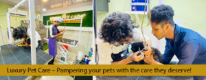 pet grooming kayamkulam