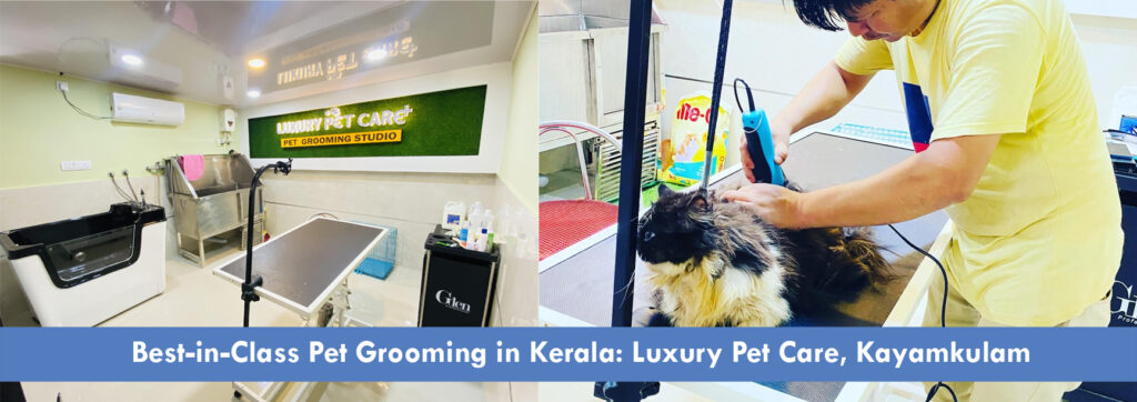 Best-in-Class-Pet-Grooming-in-Kerala-Luxury-Pet-Care-Kayamkulam