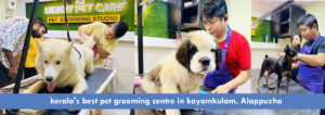 Kerala's-best-pet-grooming-center-in-kayamkulam-Alappuzha
